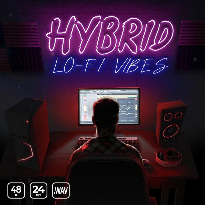 hybrid lo-fi vibes