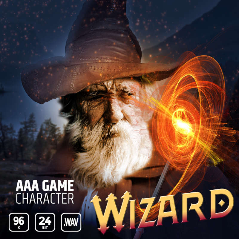 aaa game character wizard