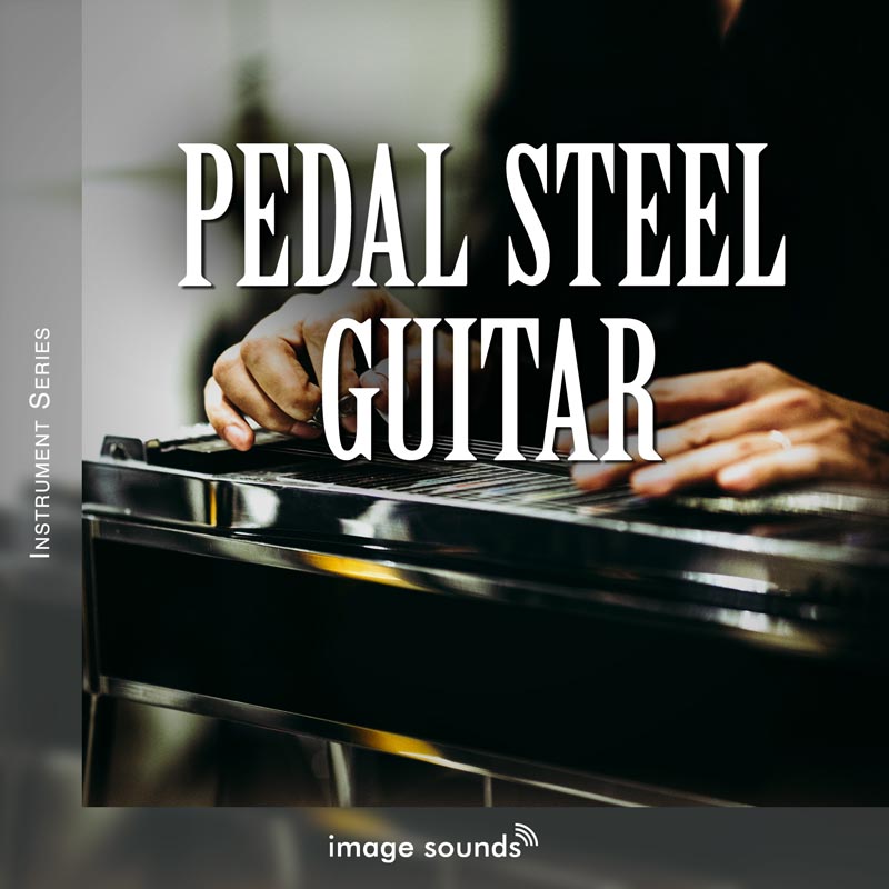 pedal steel guitar 1