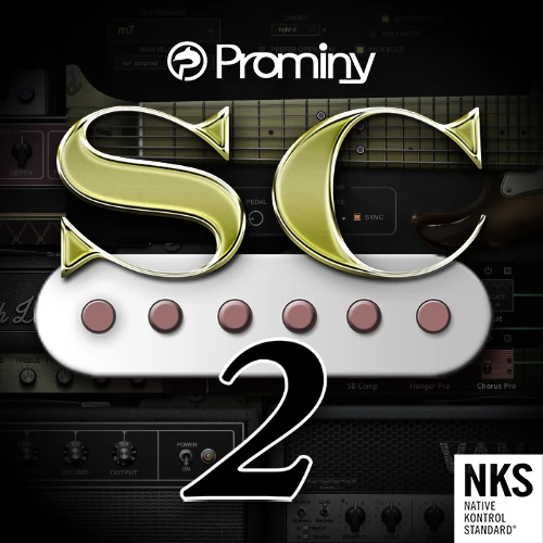 sc electric guitar 2