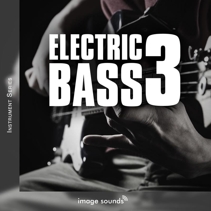 electric bass 3