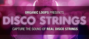 disco strings