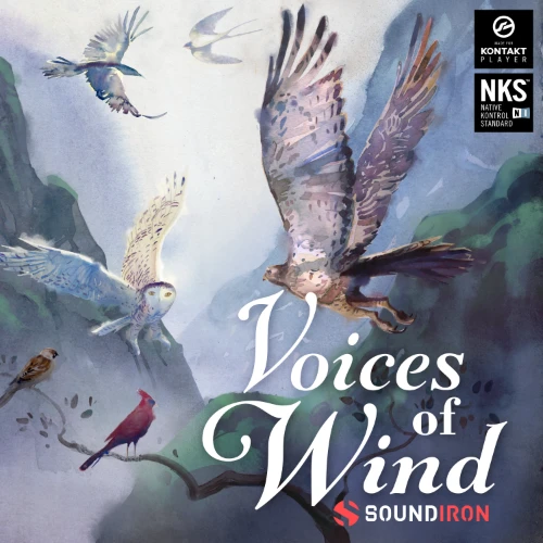 voice of wind collection