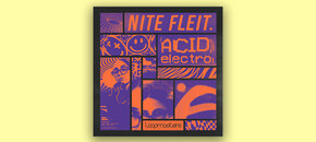 nite fleit – acid electro