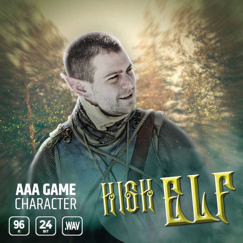 aaa game character high elf