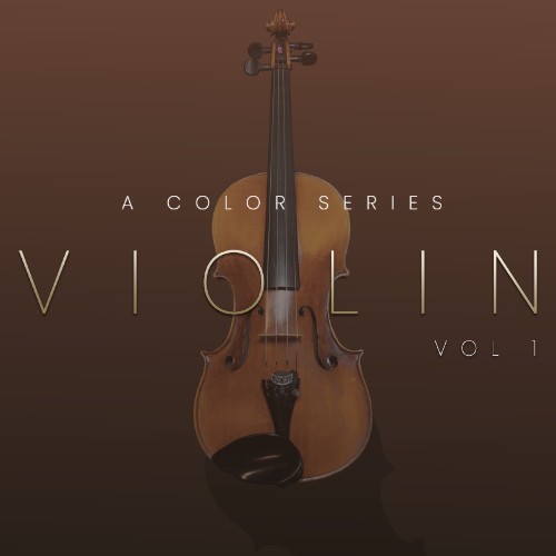 bowed colors violin