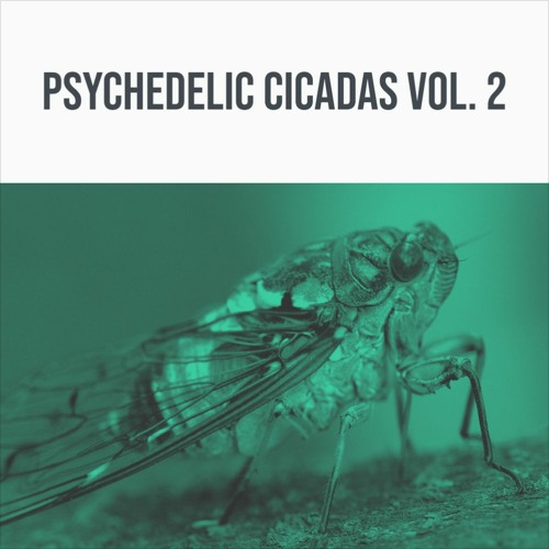 psychedelic cicadas vol. 2