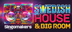 swedish house & big room