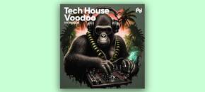 tech house voodoo