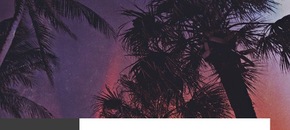 sample diggers: future tropical house