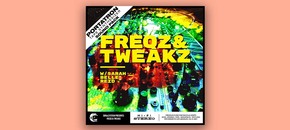 portatron preset pack: freqz & tweakz