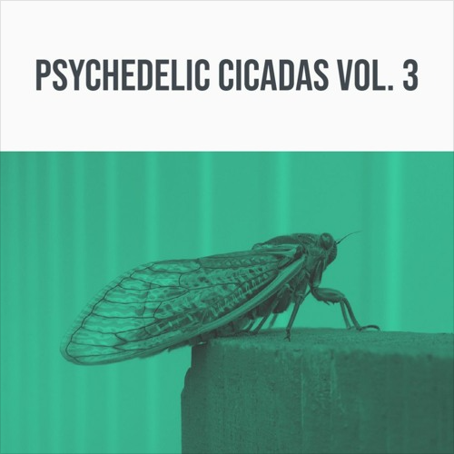 psychedelic cicadas vol. 3