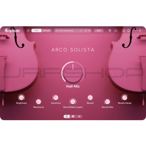 Capsule Arco Solista