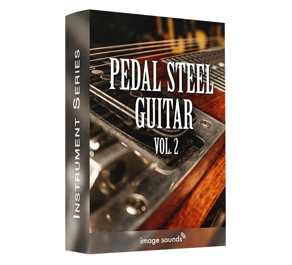 pedal steel guitar 2