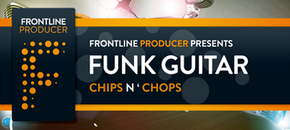 funk guitar – chips ‘n’ chops