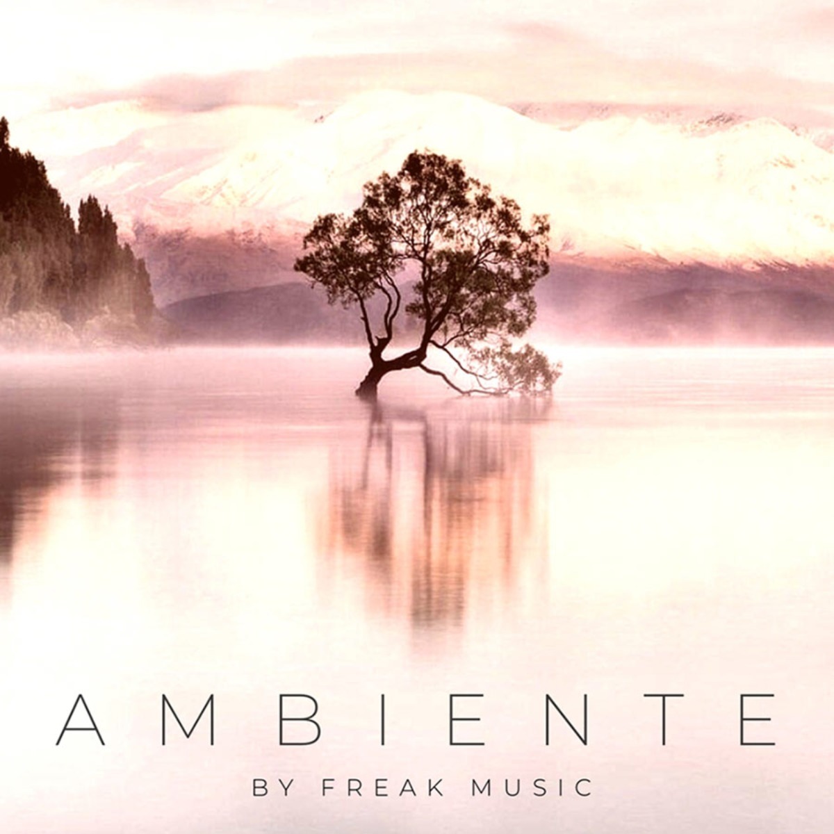 ambiente