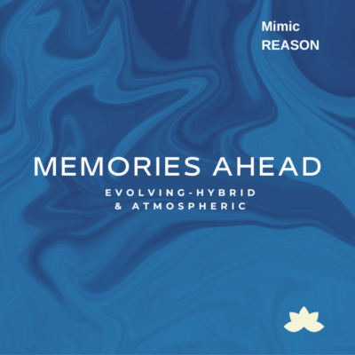 memoriesaheadformimiccreativesampler