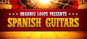 presents spanish guitars