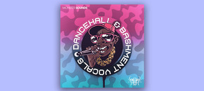 dancehall & bashment vocals