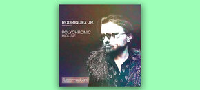 rodriguez jr. – polychromic house