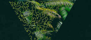 21st century jungle