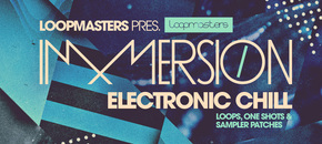 immersion – electronic chill