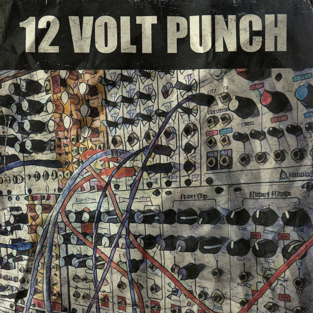 12voltpunch