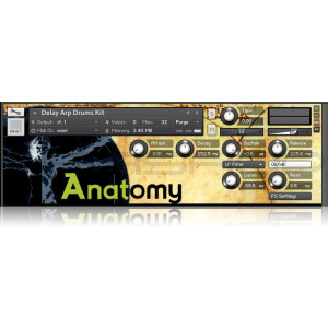 anatomy