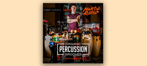 martin rizzola – organic percussion grooves
