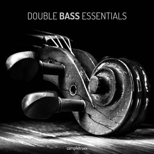 double bass essentials