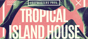 tropical island house