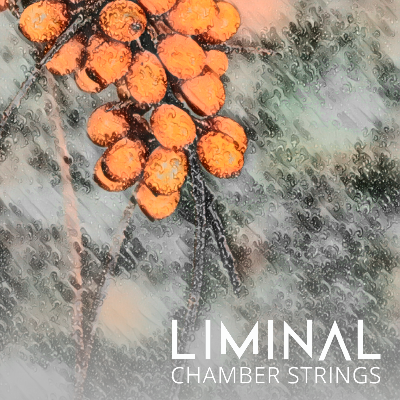 liminal chamber strings