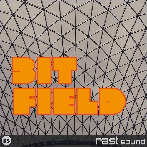 bit field