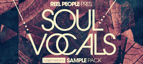 reel people present soul vocals
