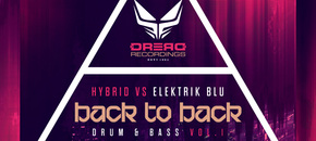 b2b hybrid vs elektrik blu