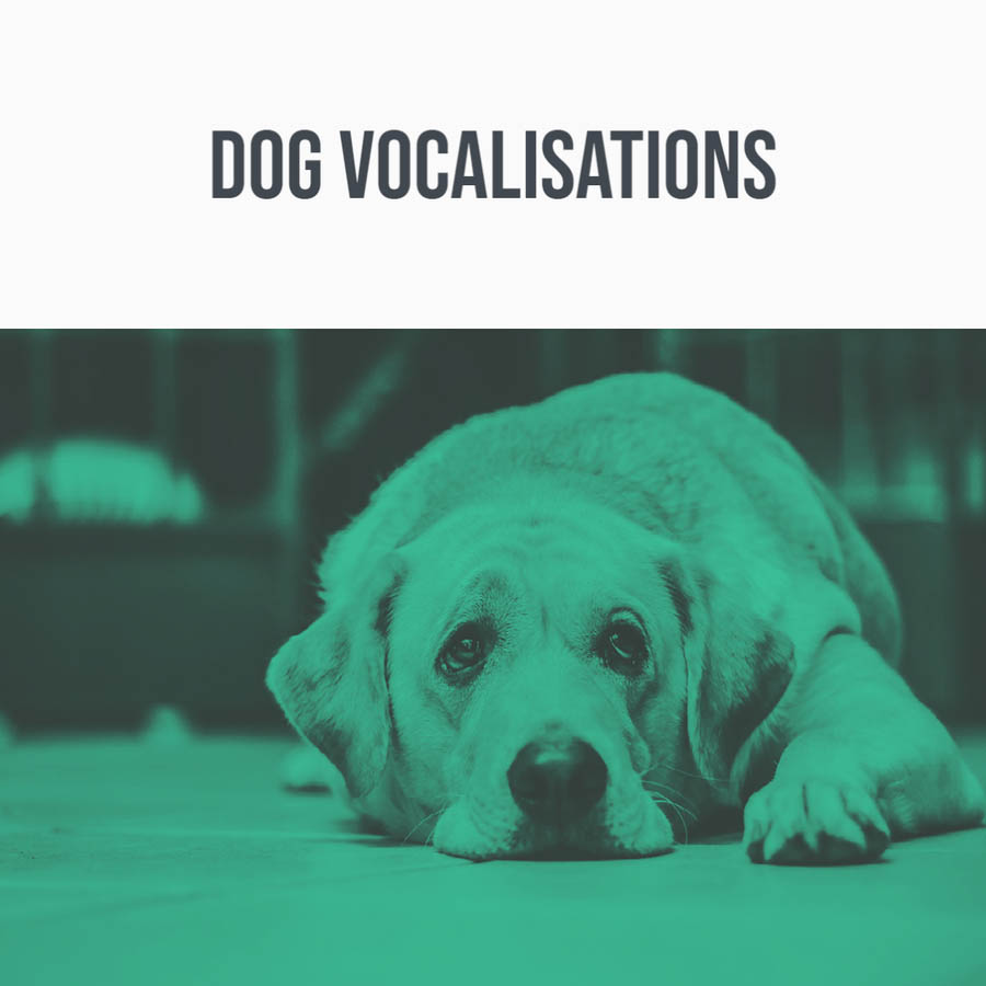dog vocalisations