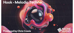 hook: melodic techno