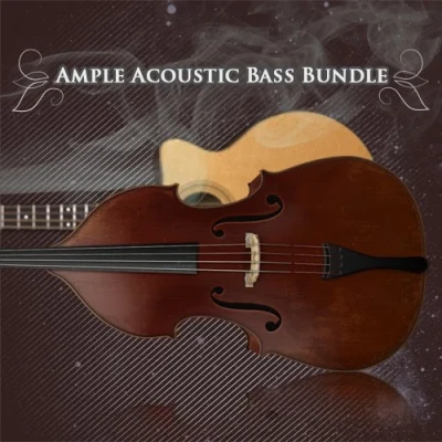 2in1 Acoustic Bass Bundle