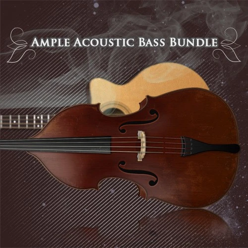 2in1 acoustic bass bundle