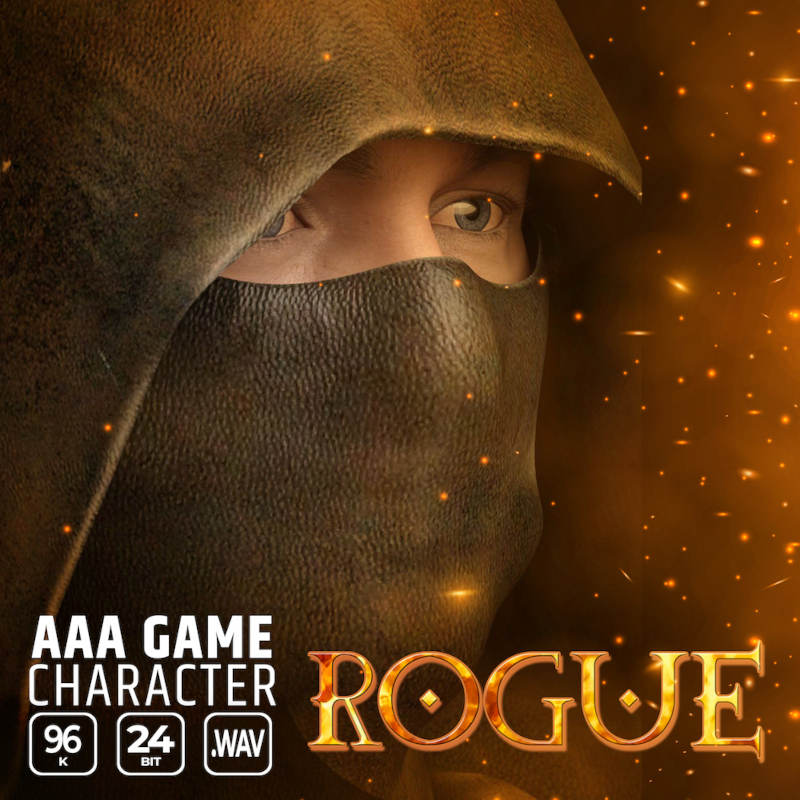 aaa game character rogue
