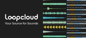 loopcloud 12-month studio plan + free native instruments super 8