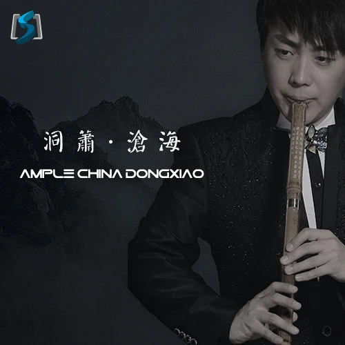 ample china dongxiao