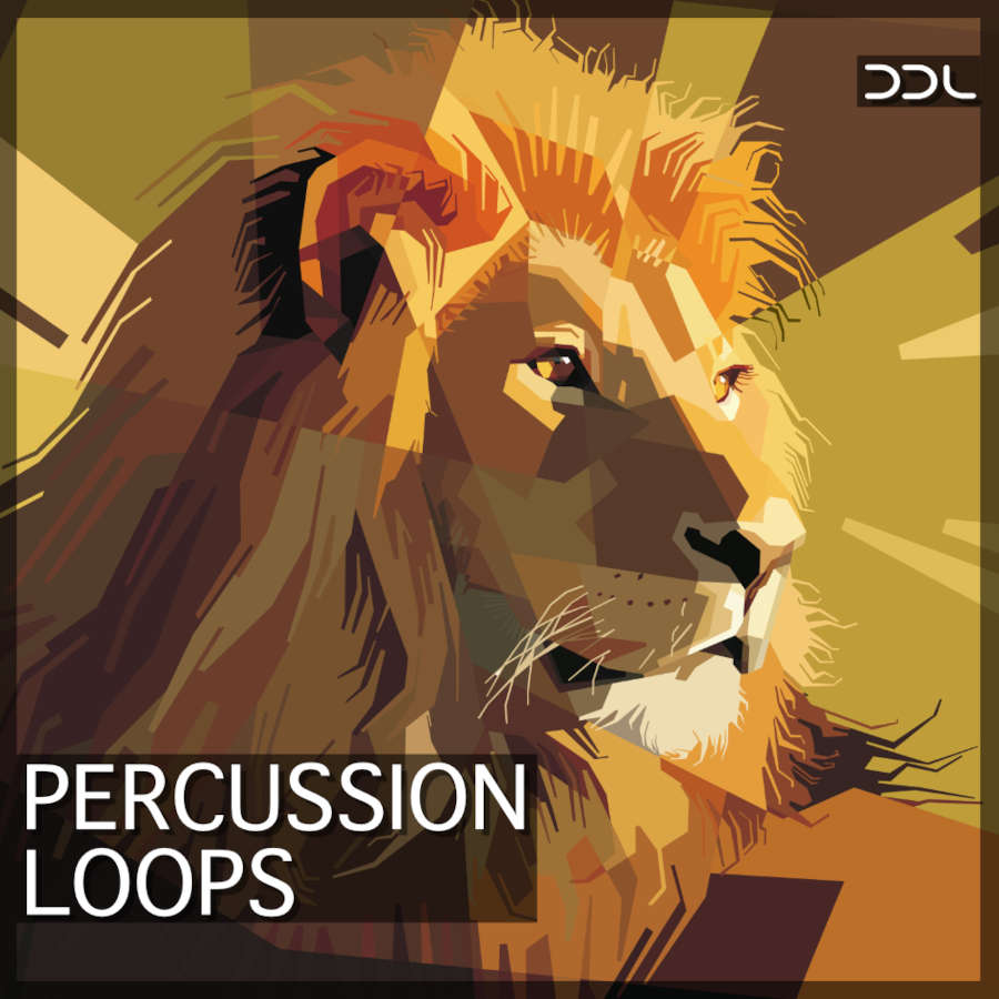 percussion loops