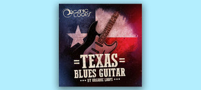 texas blues guitar