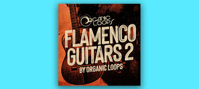 flamenco guitars 2