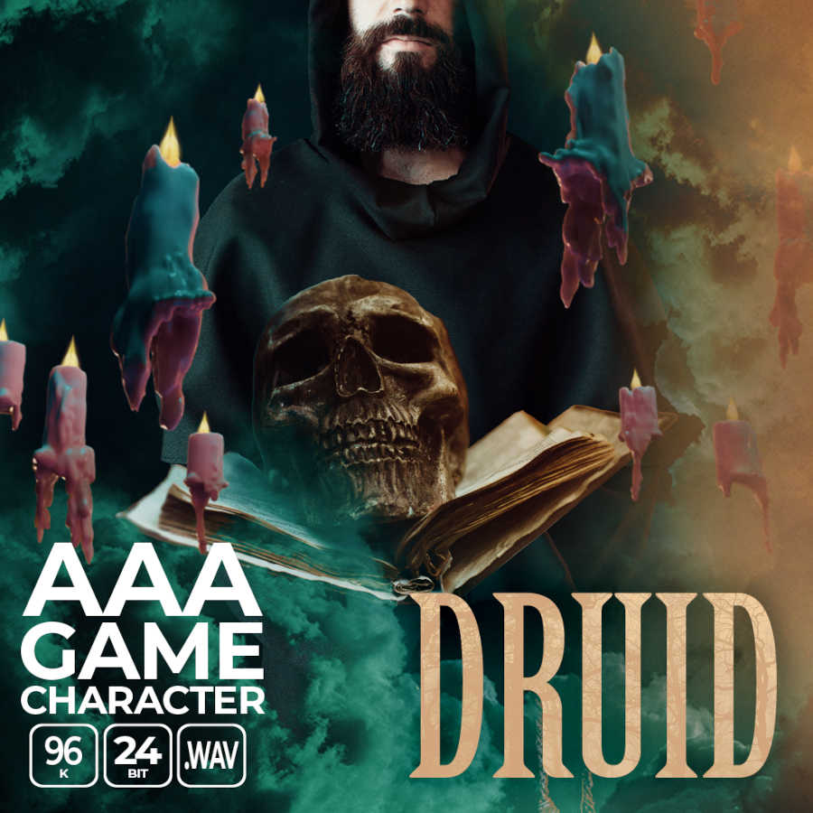 aaa game character druid