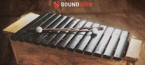 alto xylophone