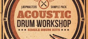 acoustic drum workshop