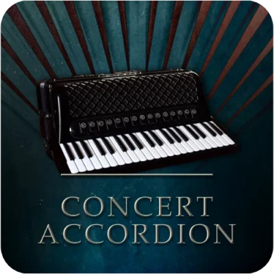 accordions 2 – concert accordion