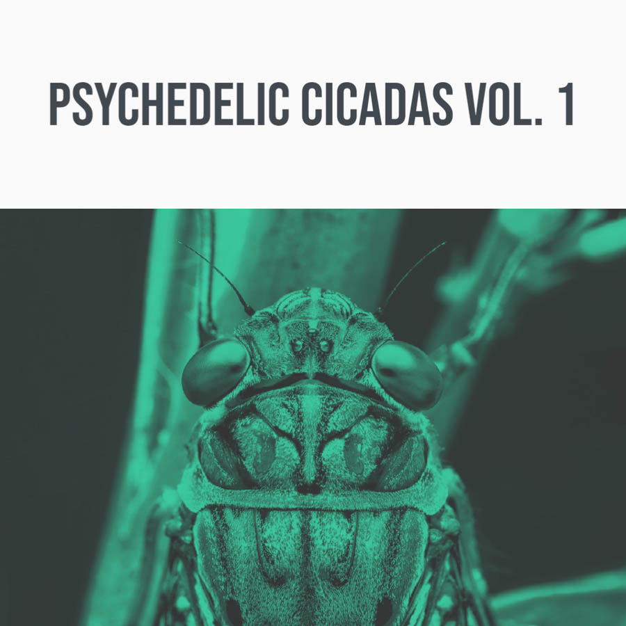 psychedelic cicadas vol. 1